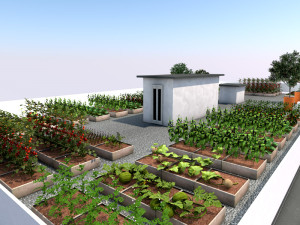 Le-verdure-del-mio-tetto