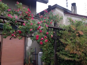 IMG_0400
