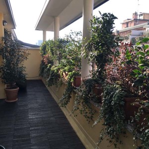 IMG_0579