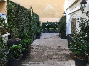 IMG_0797
