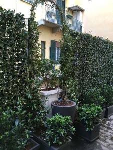 IMG_0800